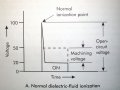 DSCN0098.jpg