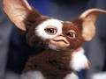 upload_2016-10-23_21-38-5.jpeg