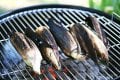 grilled-corn-on-the-cob-method-600-2.jpg