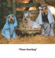 Fleas Navidog.jpg