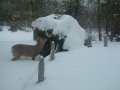 DSCF0017.JPG DSCF0017.JPG