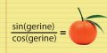 tangerine_1.jpg tangerine_1.jpg
