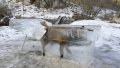 _93553257_ap_fox.jpg
