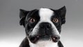 upload_2017-1-15_19-21-27.jpeg upload_2017-1-15_19-21-27.jpeg