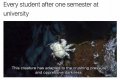 Capture.JPG