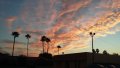 IMG-20170121-WA0005.jpg