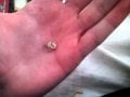 IMG_20170215_162953.jpg