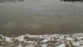 20170225_132513.jpg
