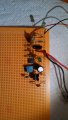perf board-1.jpg