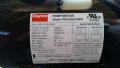 Pump Motor.jpg