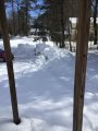 IMG_3170.JPG