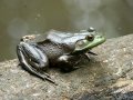 c IMG_8422.jpg