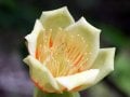 sIMG_8929.jpg