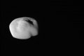 atlas2-e1492117209415.jpg