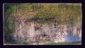 IMG_20170513_150851863-EFFECTS.jpg