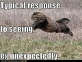 Ex-wife response.jpg