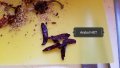 20170527_111437.jpg