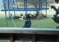 dangerous_trampoline.jpg