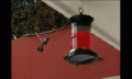 Project 2.gif Project 2.gif