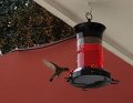 IMG-20170613-WA0007.jpg IMG-20170613-WA0007.jpg