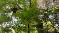 IMG-20170718-WA0009.jpg