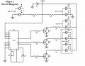figure1f.jpg