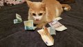 IMG-20170807-WA0023.jpg