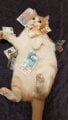 IMG-20170807-WA0024.jpg