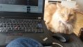 20160521_151742.jpg