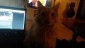 20160512_223815.jpg