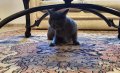 IMG-20170817-WA0015.jpg