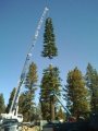 Cell Tower 1.jpg