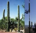 Cell Tower 2.jpg