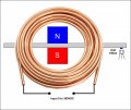 I.M. single coil.jpg