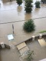 Front Yard.jpg