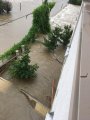 Adios Front Yard.jpg