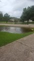 20170827_141342.jpg