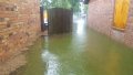20170829_095316.jpg