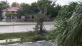 IMG_20170911_070716.jpg