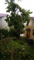 IMG_20170911_082543.jpg