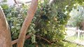 IMG_20170911_163247.jpg