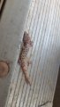 20170831_100559.jpg