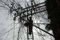 India _ Quick Tech News.jpg India _ Quick Tech News.jpg