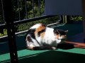 20170709_120120.jpg