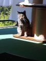 20170709_115300.jpg