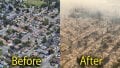 Fires 1..jpg