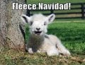 Fleece Navidad.jpg