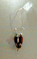 upload_2017-12-16_0-51-6.png
