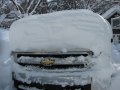 Snow Hood.jpg