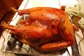 turkey.jpg